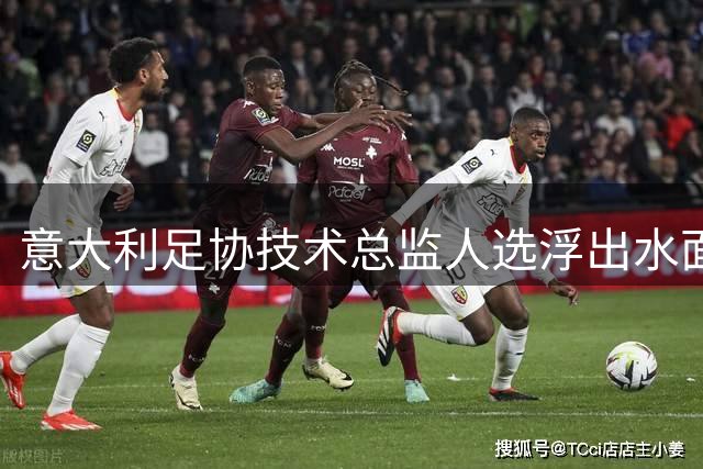 意大利足协技术总监人选浮出水面：基耶利尼领跑，拉涅利在列